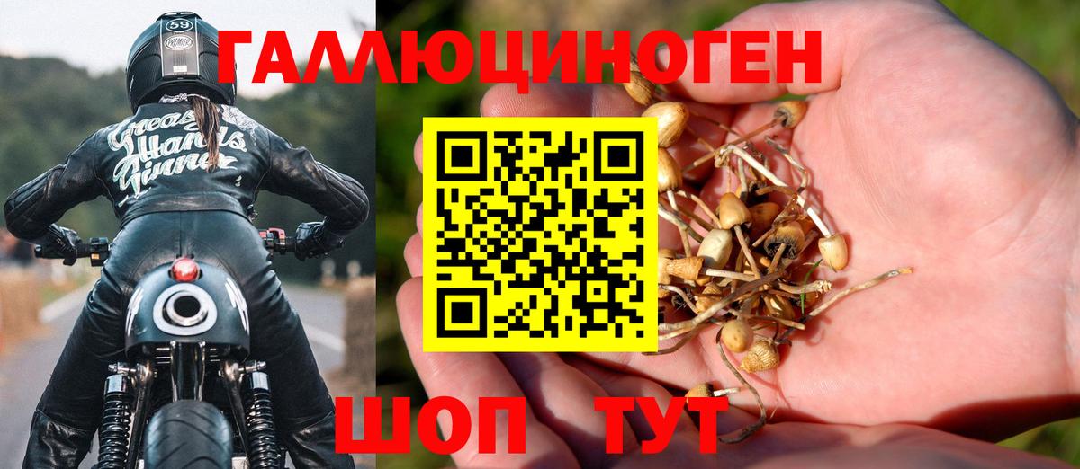 Псилоцибиновые грибы Cubensis Верхняя Пышма
