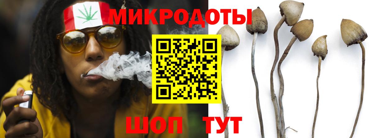 Верхняя Пышма  Псилоцибиновые грибы GOLDEN TEACHER  Вход с VPN 
